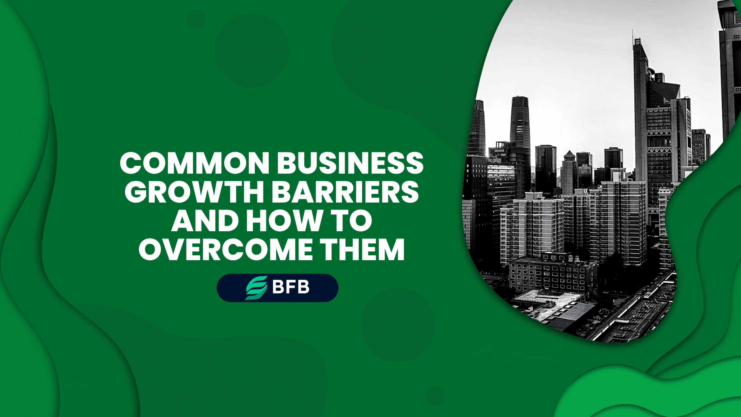 Common Business Growth Barriers and How to Overcome Them