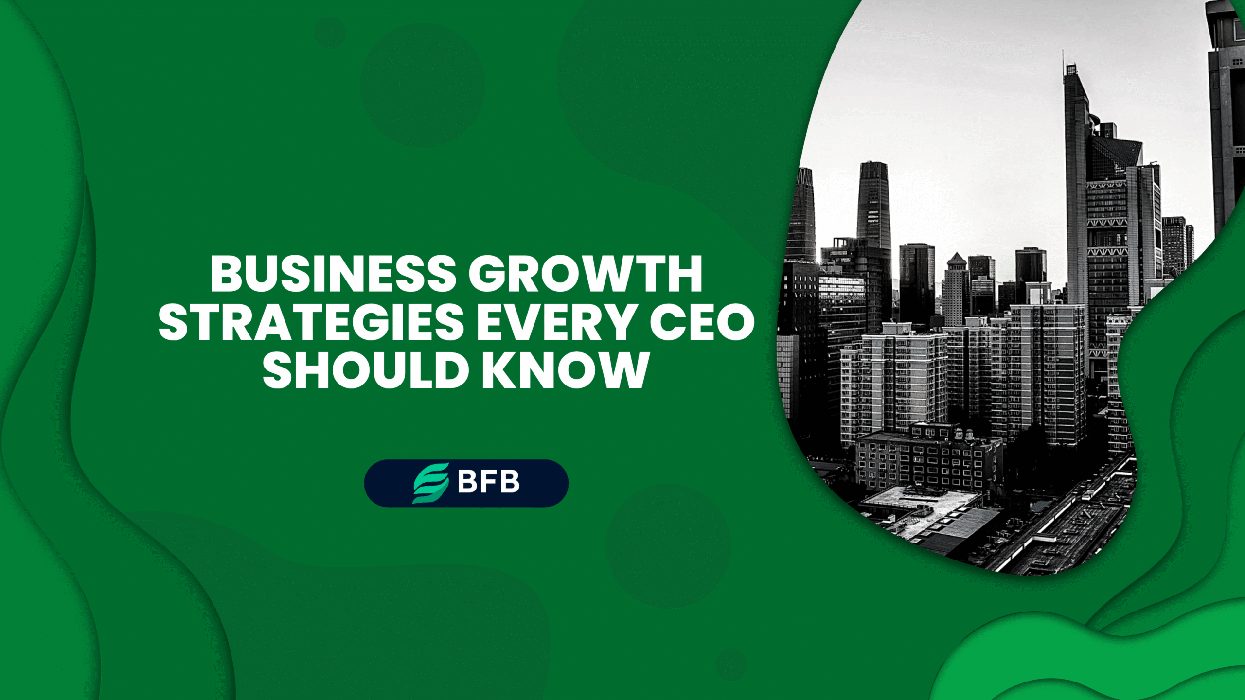 Business Growth Strategies Every CEO Should Know